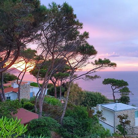 费拉约港La Terrazza Sul Forno - Goelba公寓 外观 照片